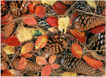 12-Dec.jpg (58 K)