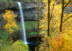 11-Nov.jpg (109 K)