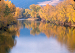 10-Oct.jpg (58 K)
