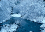 12-Dec.jpg (69 K)