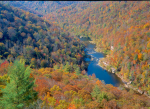 10-Oct.jpg (87 K)