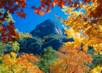 10-Oct24.jpg (106 K)