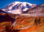 09-Sep.jpg (68 K)