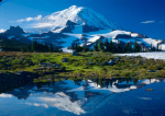 11-Nov.jpg (60 K)